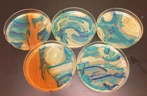 Известные произведения живописи в исполнении бактерий