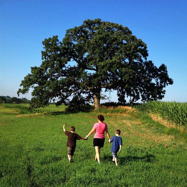 An iPhone Photo Journal documenting A Year in the Life of That Tree