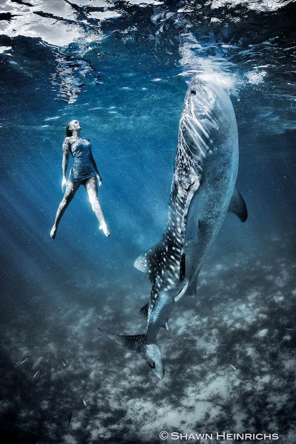 Shawn-Heinrichs-photography-underwater-5
