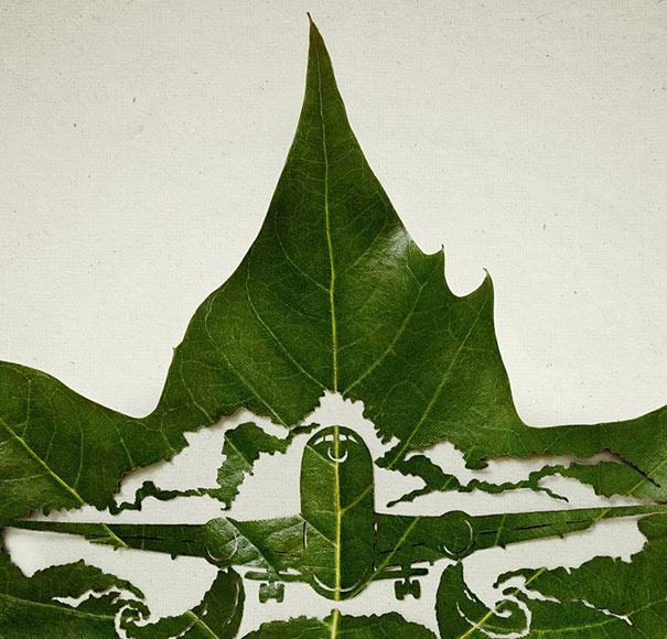 cut-away-leaf-art-lorenzo-duran-6