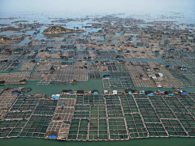 Marine aquaculture, Luoyuan bay, Fujian province, China, 2012