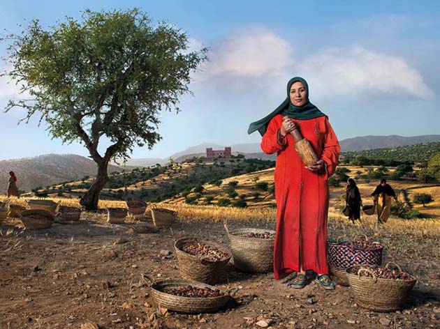 Президент женского кооператива по производству арганового масла. Аргановое дерево похоже на оливковое, но произрастает только на южном побережье Марокко. 