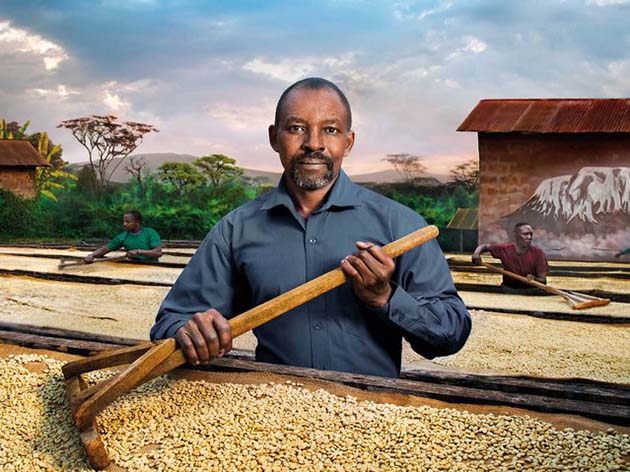 Сушка кофе в Танзании