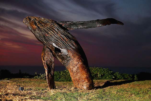 Sculpture by the Sea03