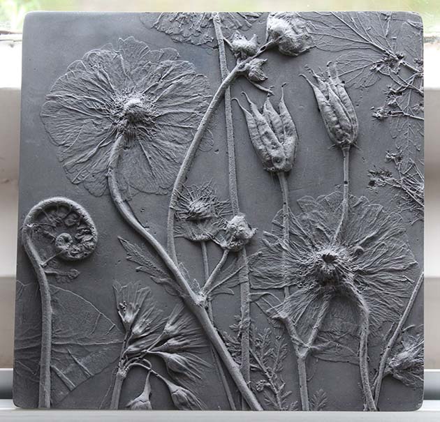 plaster-cast-flower-fossils-rachel-dein-39