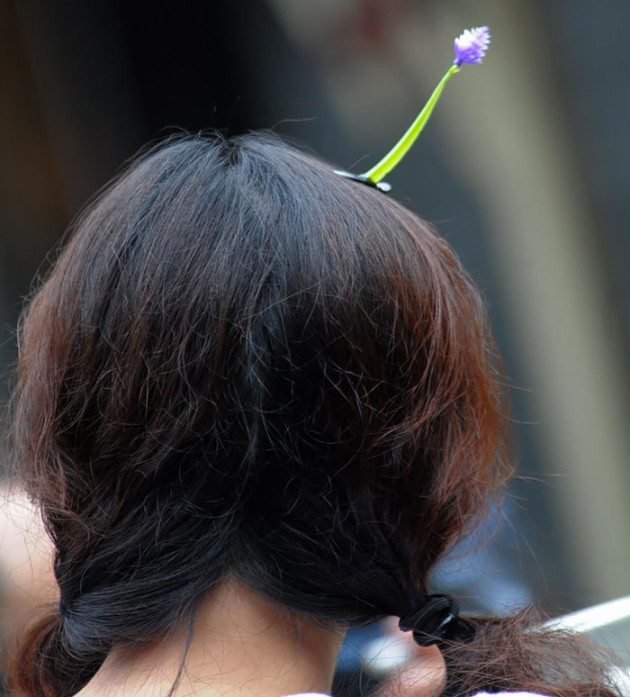 sprout-hairpins-china-trend-11__700