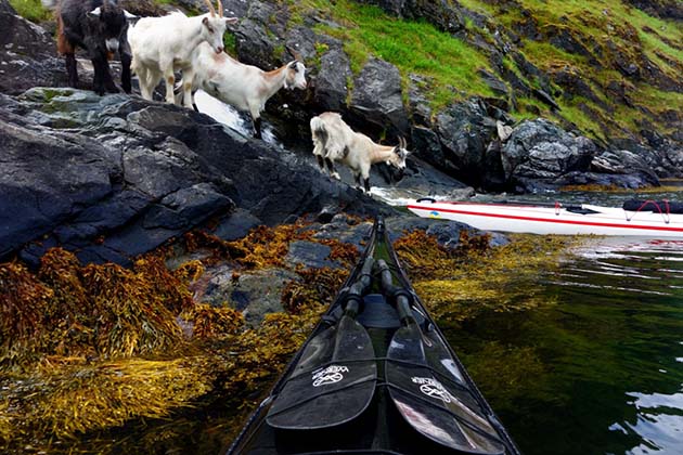 nature-travel-kayak-photography-fjords-tomasz-furmanek-norway15