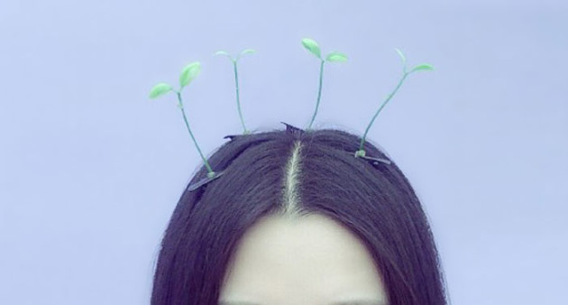 sprout-hairpins-china-trend-5__700