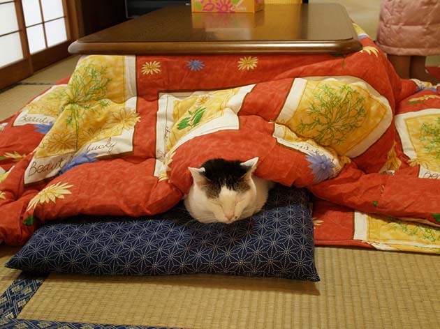 heating-table-bed-kotatsu-japan-13